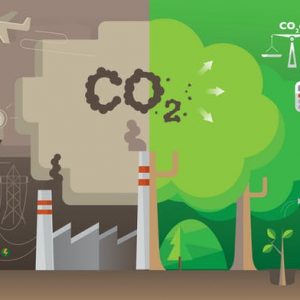 Net-Zero-Carbon-300×300 Net-Zero-Carbon-300x300