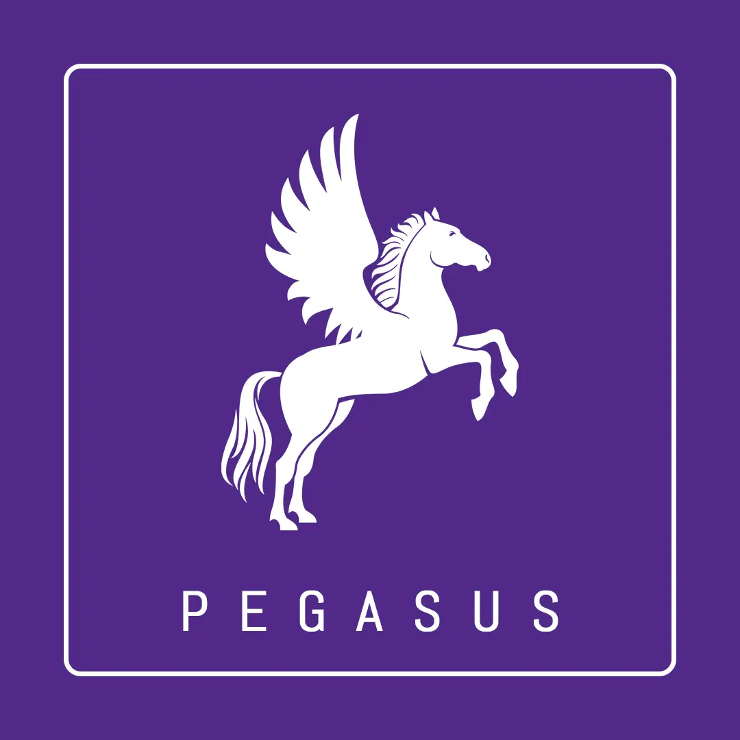 Pegasus